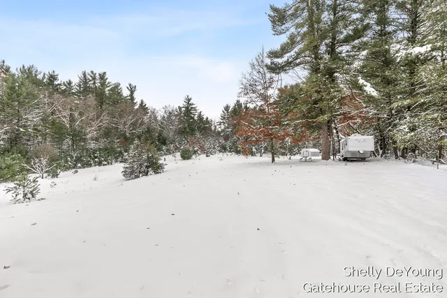 $45,000 | 6007 South Cypress Avenue, Newaygo, MI 49337