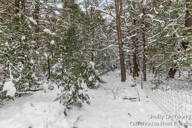 $45,000 | 6007 South Cypress Avenue, Newaygo, MI 49337