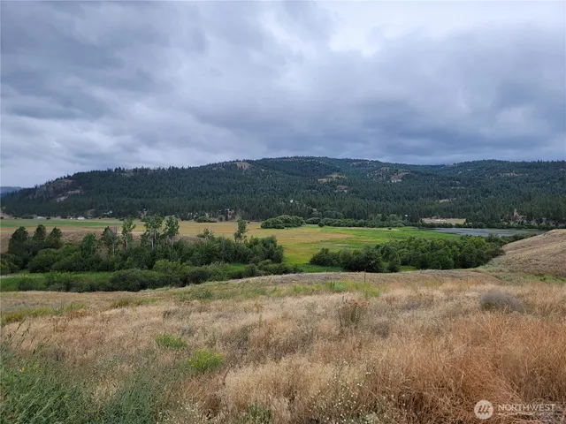 a view of a green field with lots of bushes