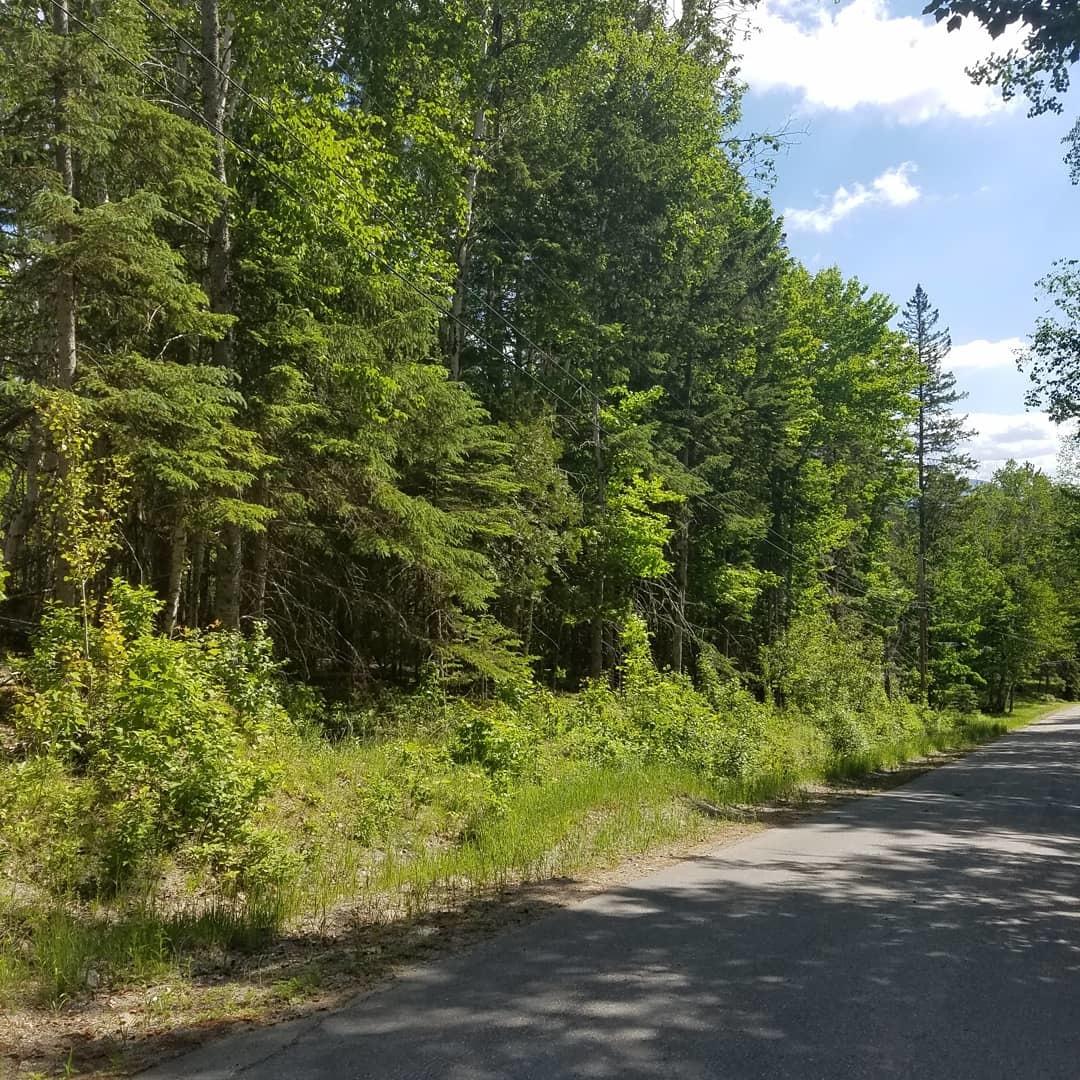 Tbd Tbd Road Eustis, ME 04936 - Photo 1 of 4 Road view