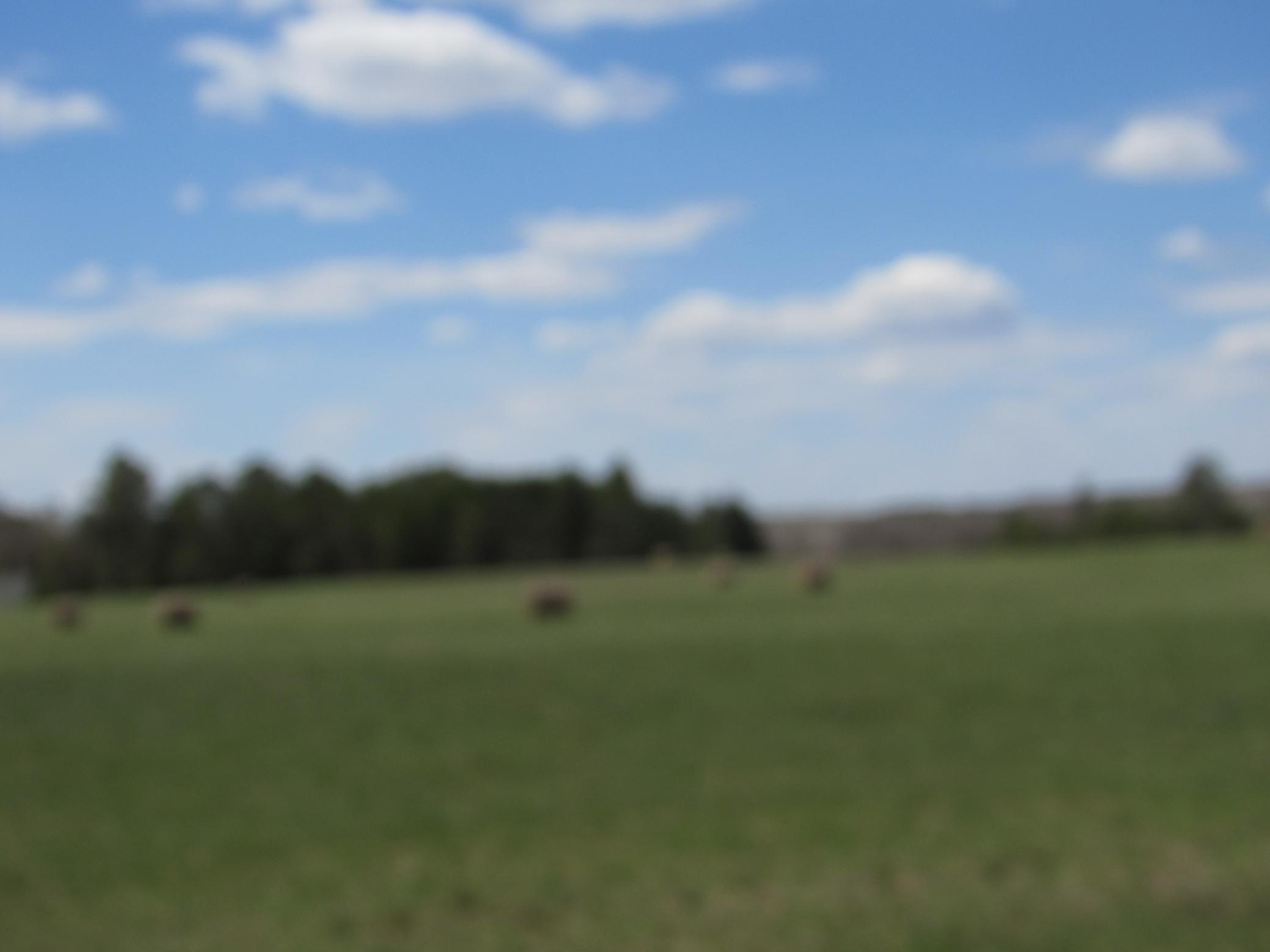 Tbd Farm To Market Road Sturgeon Lake, MN 55783 - Photo 2 of 4
