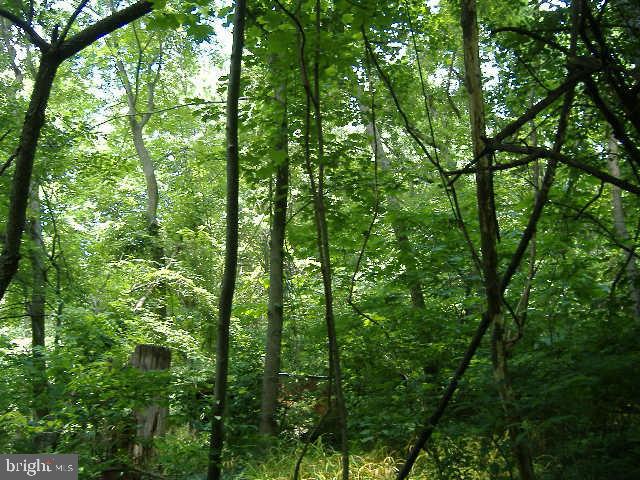5122 B Ridge Road Elizabethtown, PA 17022 - Photo 3 of 4 Gallery Image 3