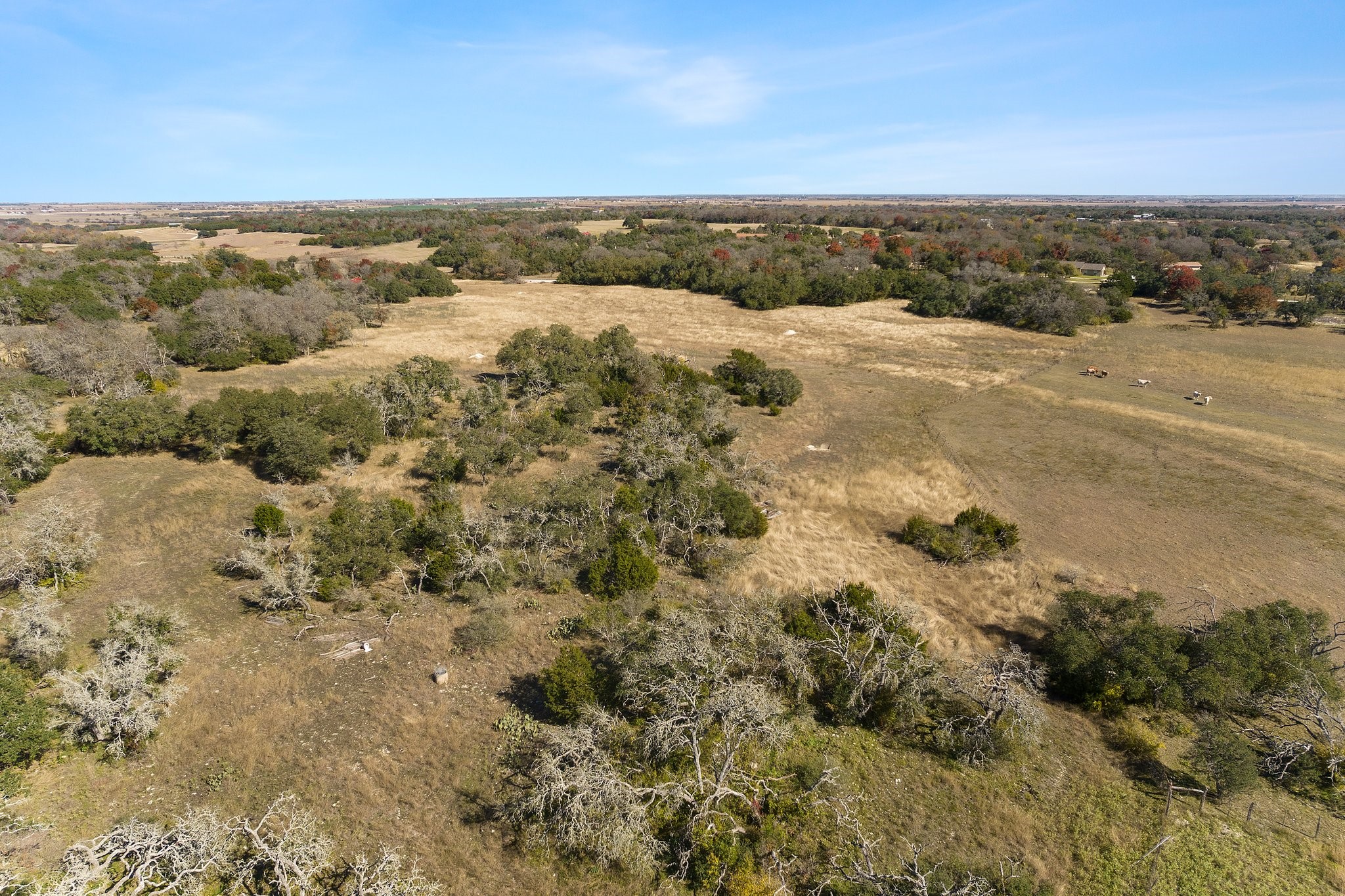 102 County Road 156 Georgetown, TX 78626 - Photo 10 of 11