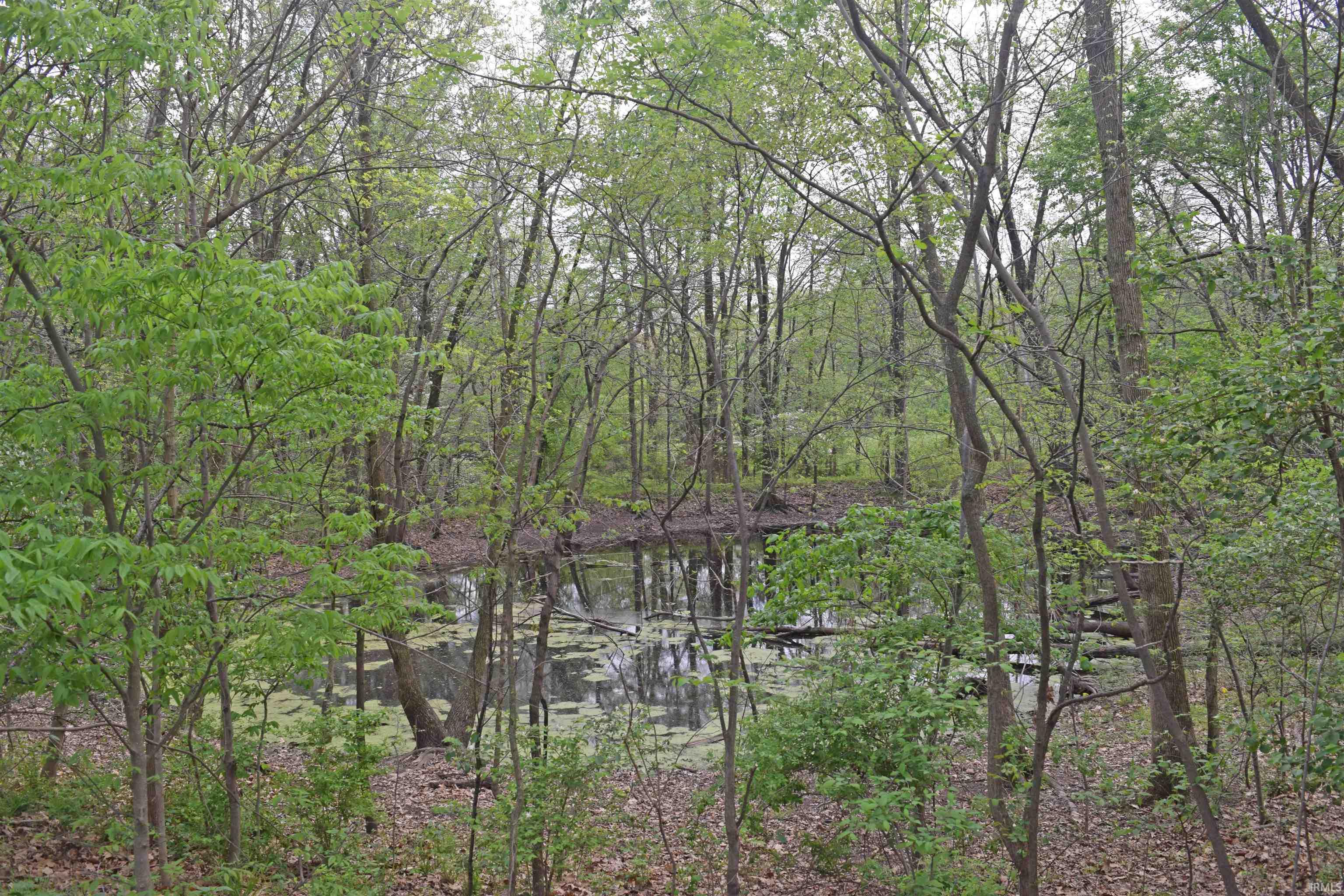 11707 Diamond Island Road Wadesville, IN 47638 - Photo 36 of 36