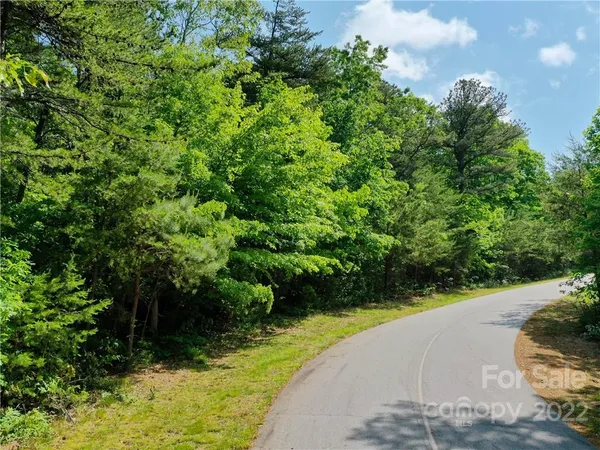 $200,000 | Lot 295 Eastman Pl Mill Spring, Mill Spring, NC 28756
