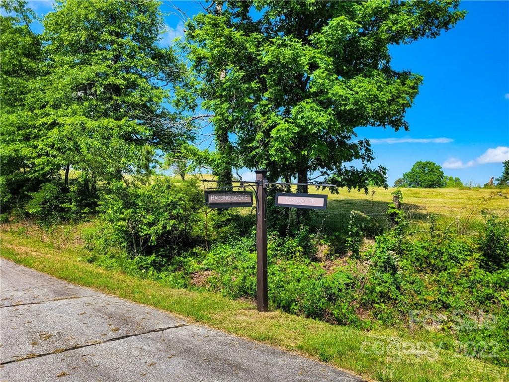 Lot 295 Eastman Pl Mill Spring Mill Spring, NC 28756 - Photo 12 of 12 a view of a garden with plants