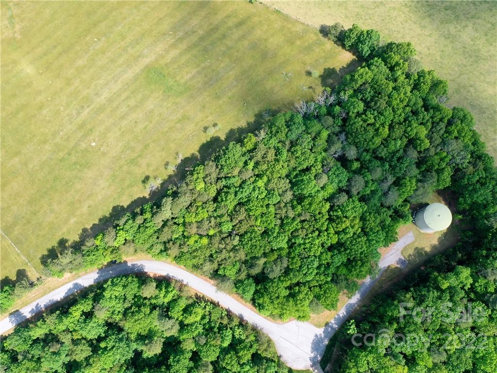 Lot 295 Eastman Pl Mill Spring Mill Spring, NC 28756 - Photo 2 of 12 a view of a garden