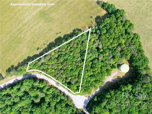 a view of a garden with a tree