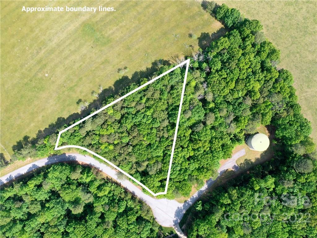 Lot 295 Eastman Pl Mill Spring Mill Spring, NC 28756 - Photo 3 of 12 a view of a garden with a tree