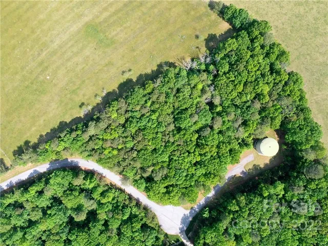 a view of a garden with plants
