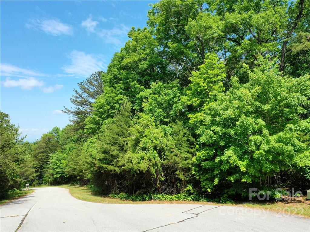 Lot 295 Eastman Pl Mill Spring Mill Spring, NC 28756 - Photo 5 of 12 a view of a garden with plants