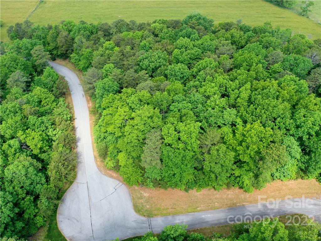 Lot 295 Eastman Pl Mill Spring Mill Spring, NC 28756 - Photo 6 of 12 a view of a yard