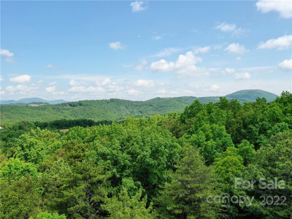 Lot 295 Eastman Pl Mill Spring Mill Spring, NC 28756 - Photo 7 of 12 a view of a big yard with plants and large trees