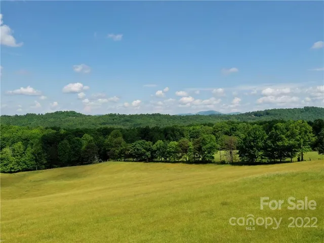 a view of a garden with plants