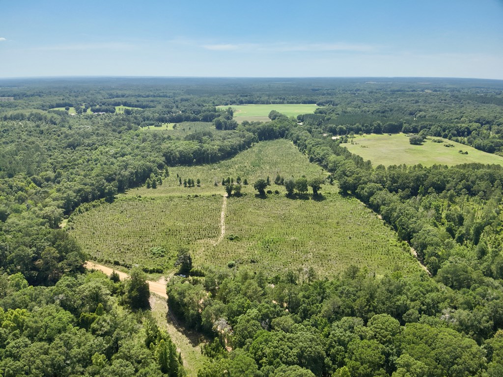 60-acres Hutton Road Hartford, AL 36344 - Photo 10 of 31