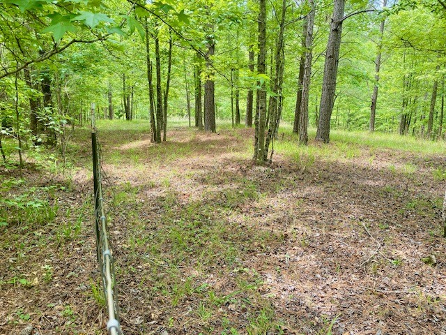 0 Pete Johnson Road Tignall, GA 30668 - Photo 17 of 43 15+/- acres Fenced in for Goats