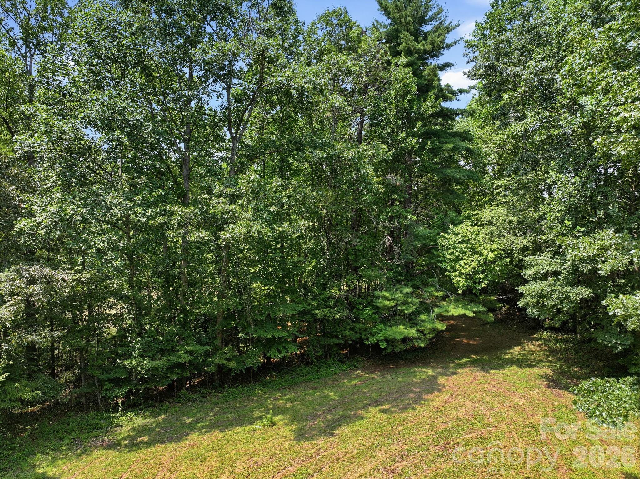Lot 1 Chestnut Stump Road Hendersonville, NC 28792 - Photo 8 of 13