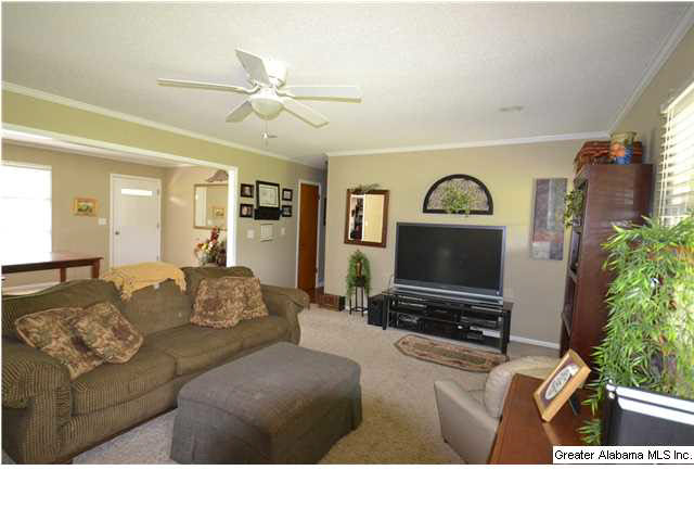 1418 East Hanceville Road Southeast Cullman, AL 35055 - Photo 4 of 23