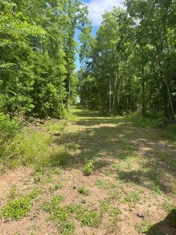 0 Rigolette Road Pineville, LA 71360 - Photo 4 of 16 Gallery Image 4