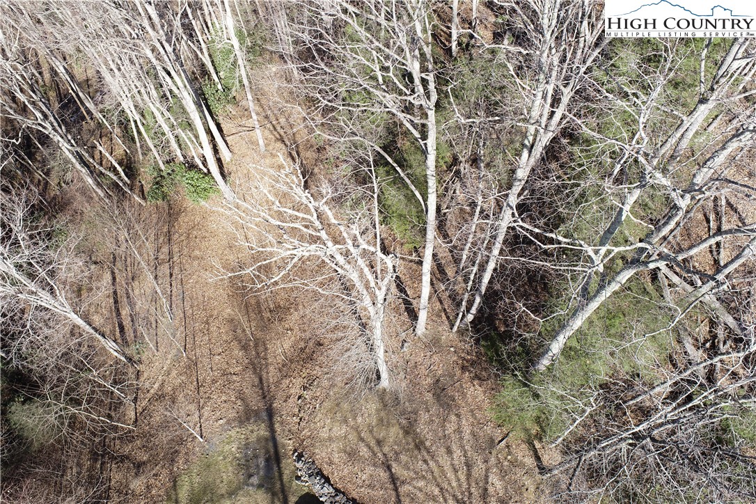 Lot 10 Boulder Ridge Trail Banner Elk, NC 28604 - Photo 11 of 45