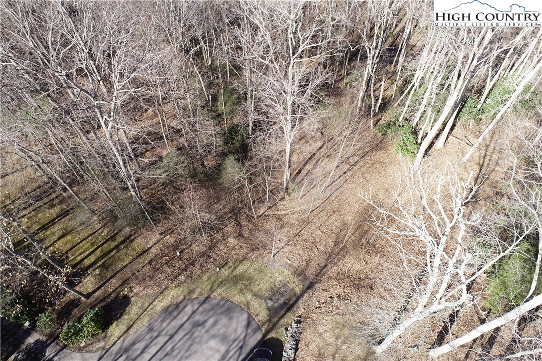 Lot 10 Boulder Ridge Trail Banner Elk, NC 28604 - Photo 13 of 45