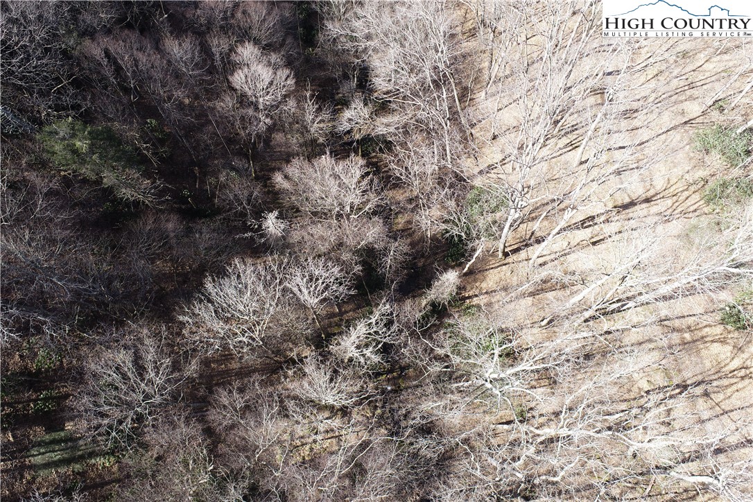 Lot 10 Boulder Ridge Trail Banner Elk, NC 28604 - Photo 30 of 45