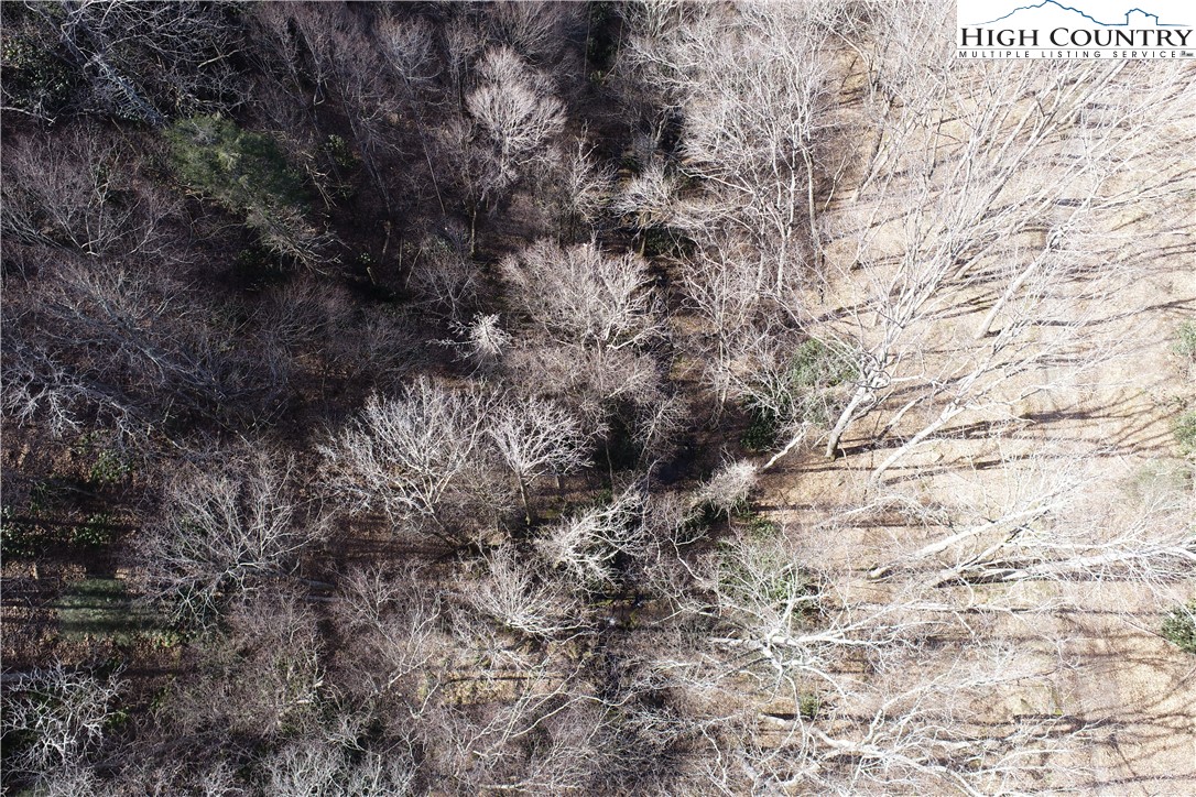 Lot 10 Boulder Ridge Trail Banner Elk, NC 28604 - Photo 31 of 45