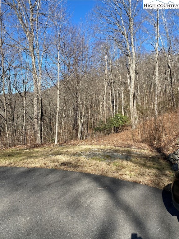 Lot 10 Boulder Ridge Trail Banner Elk, NC 28604 - Photo 34 of 45