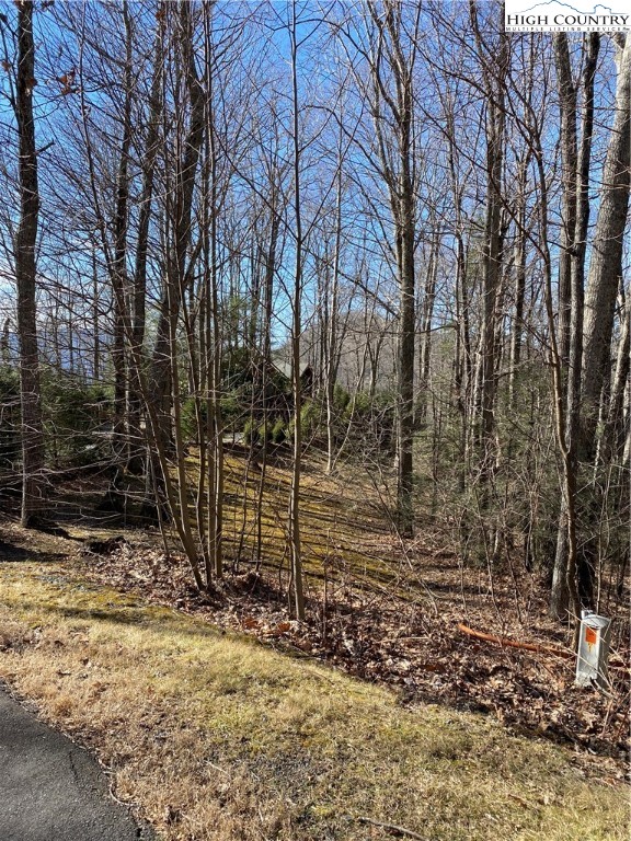 Lot 10 Boulder Ridge Trail Banner Elk, NC 28604 - Photo 36 of 45
