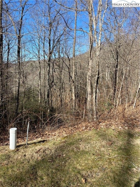 Lot 10 Boulder Ridge Trail Banner Elk, NC 28604 - Photo 38 of 45