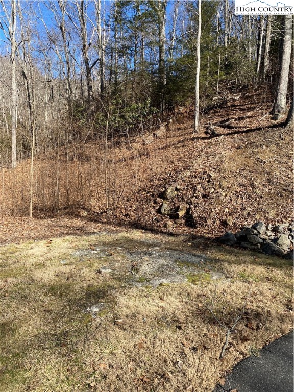 Lot 10 Boulder Ridge Trail Banner Elk, NC 28604 - Photo 40 of 45