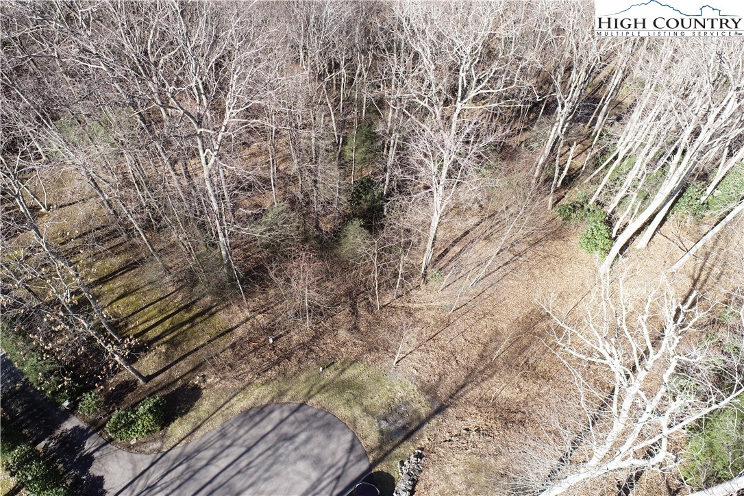 Lot 10 Boulder Ridge Trail Banner Elk, NC 28604 - Photo 4 of 45