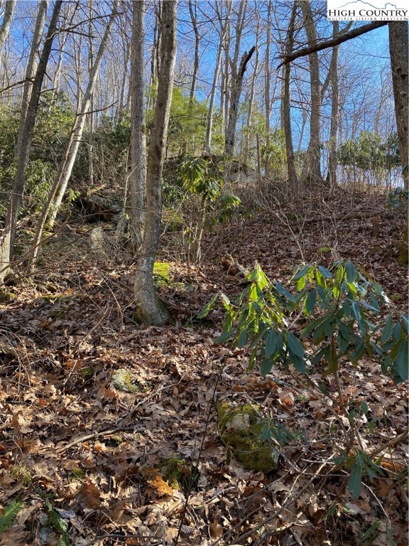 Lot 10 Boulder Ridge Trail Banner Elk, NC 28604 - Photo 43 of 45