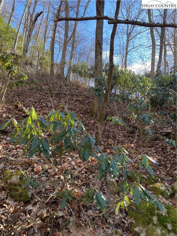 Lot 10 Boulder Ridge Trail Banner Elk, NC 28604 - Photo 44 of 45