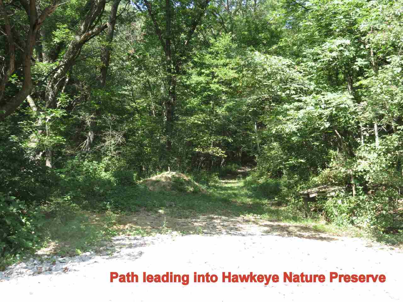 1294 Amana Road Northwest Amana, IA 52203 - Photo 20 of 25 Gallery Image 20