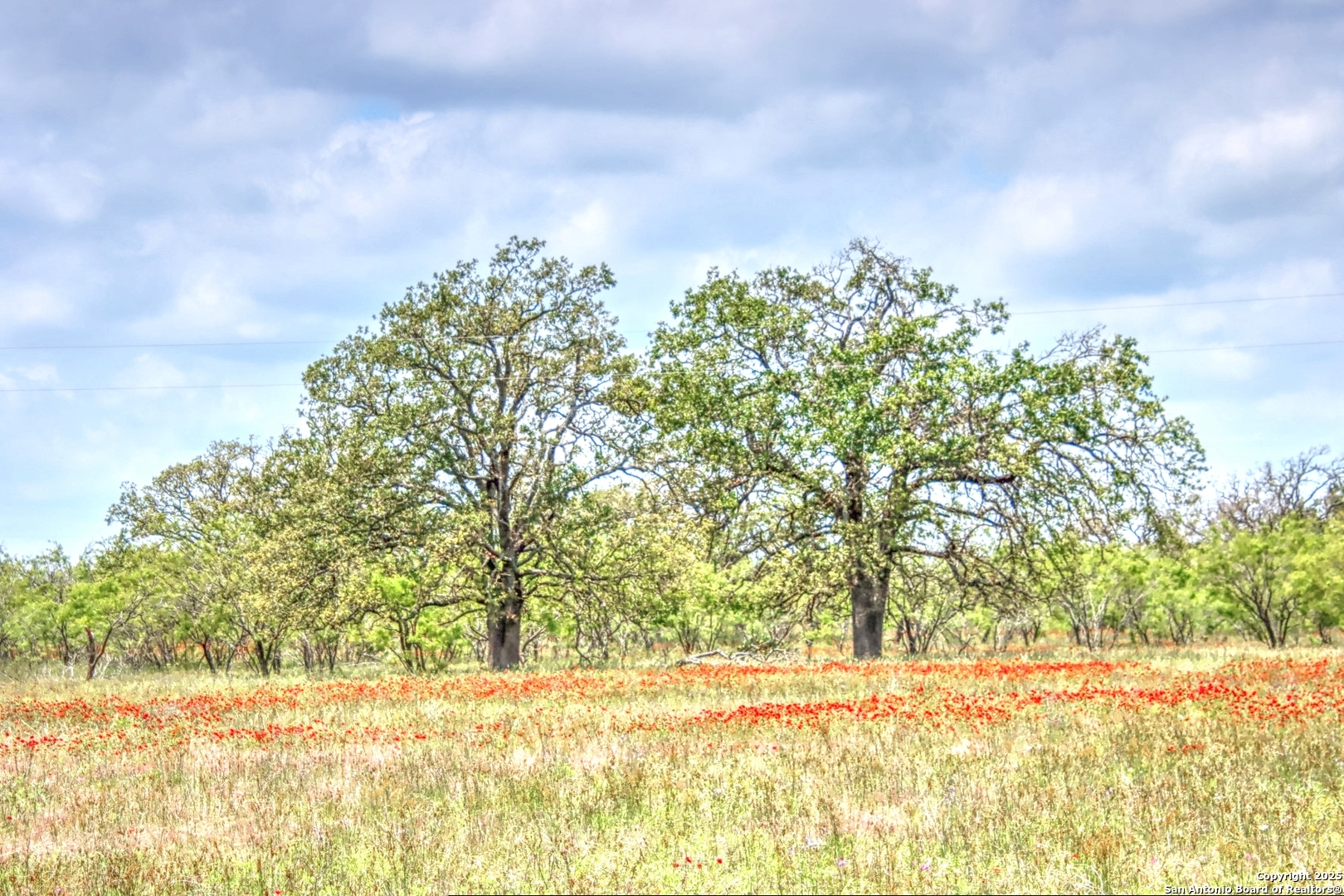 Tbd Rm 1323 Willow City, TX 78675 - Photo 2 of 13 a view of a yard with wooden fence