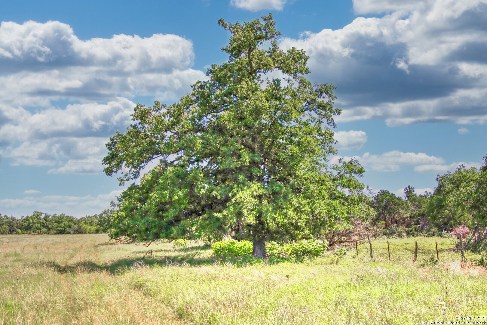 Tbd Rm 1323 Willow City, TX 78675 - Photo 3 of 13 a backyard of a house with lots of green space