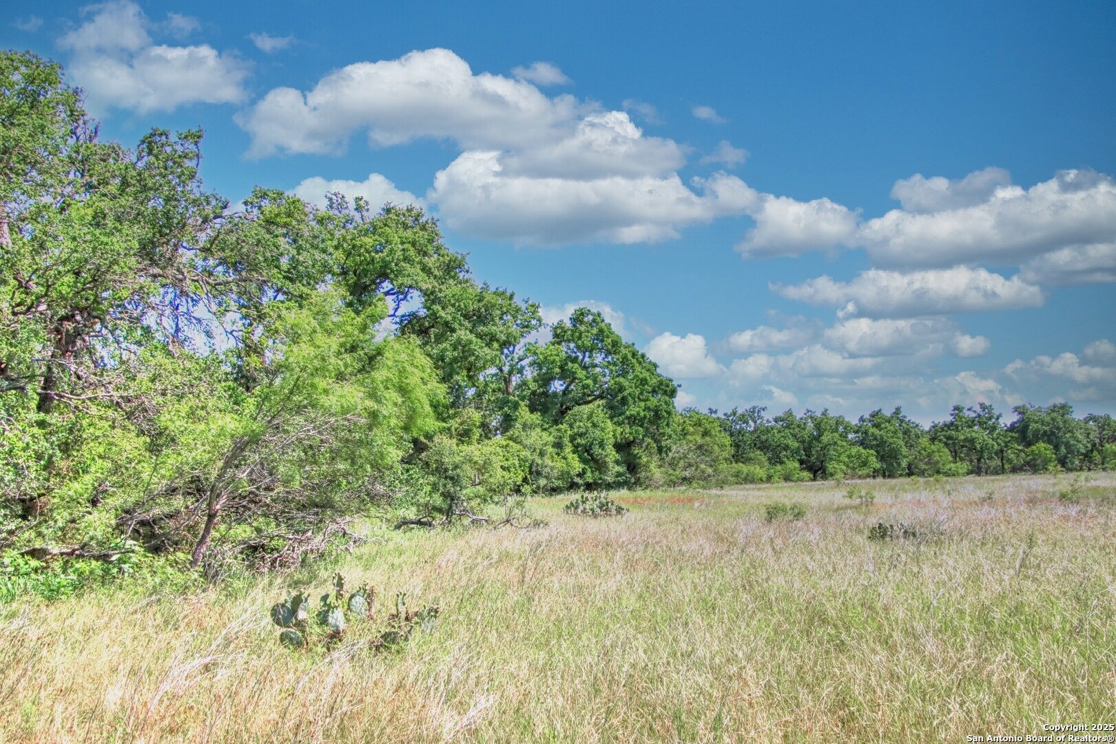 Tbd Rm 1323 Willow City, TX 78675 - Photo 5 of 13 a view of a lake and green space