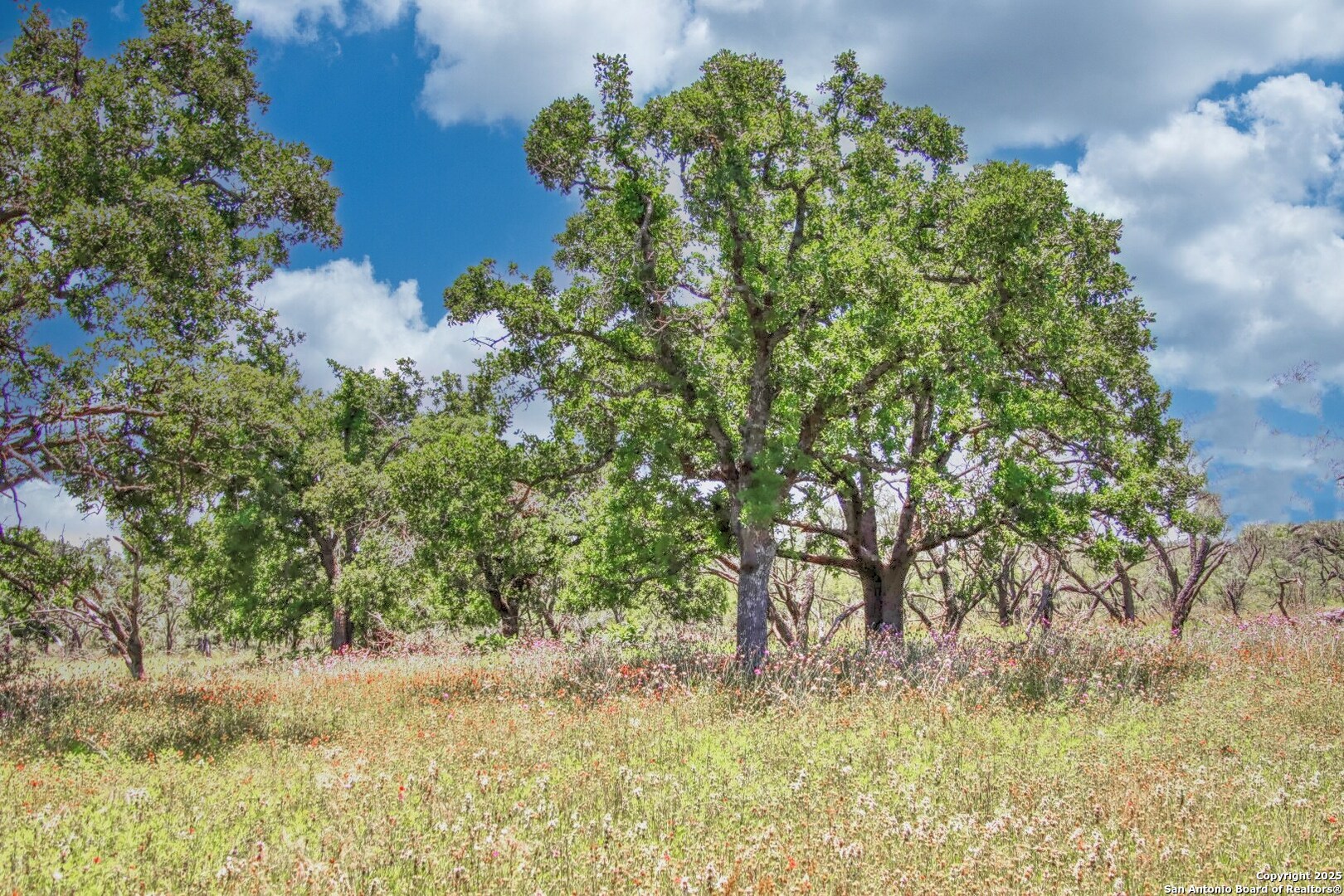 Tbd Rm 1323 Willow City, TX 78675 - Photo 7 of 13 a backyard of a house with lots of green space