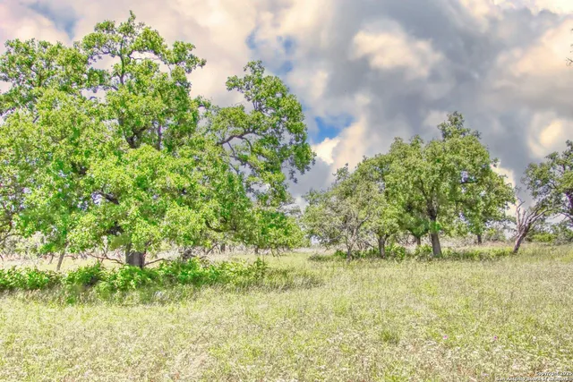 a backyard of a house with lots of green space and garden