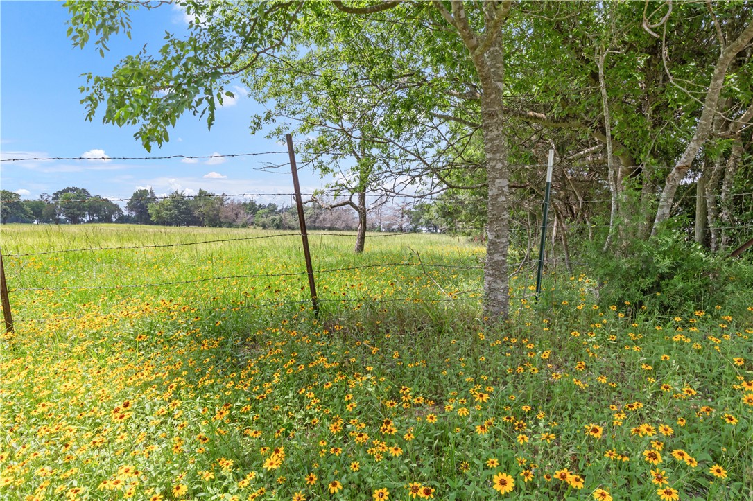 4269 Wilcox Lane Bryan, TX 77808 - Photo 30 of 42