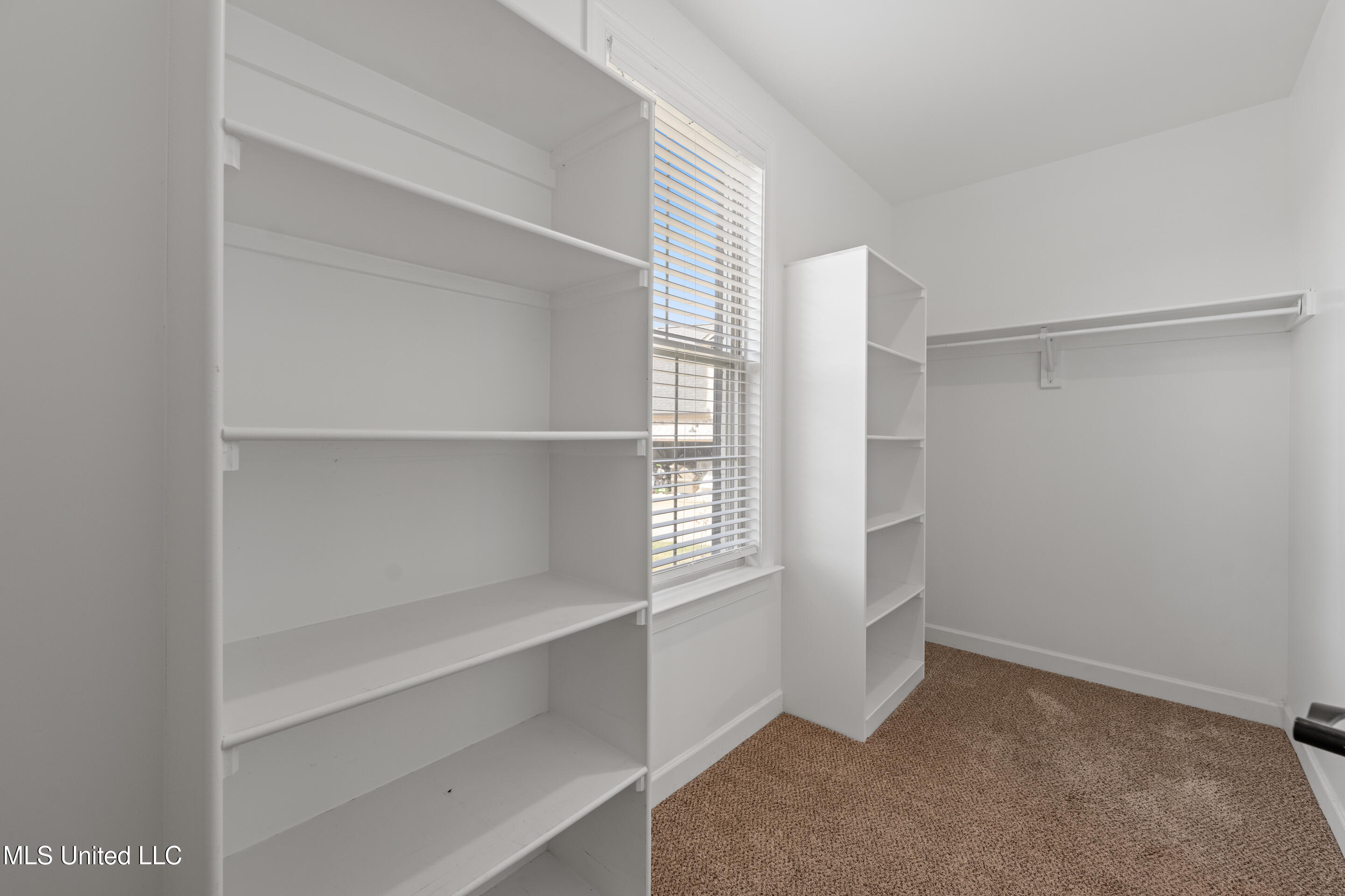 3470 Delaney Drive Nesbit, MS 38651 - Photo 25 of 38 DSC04160