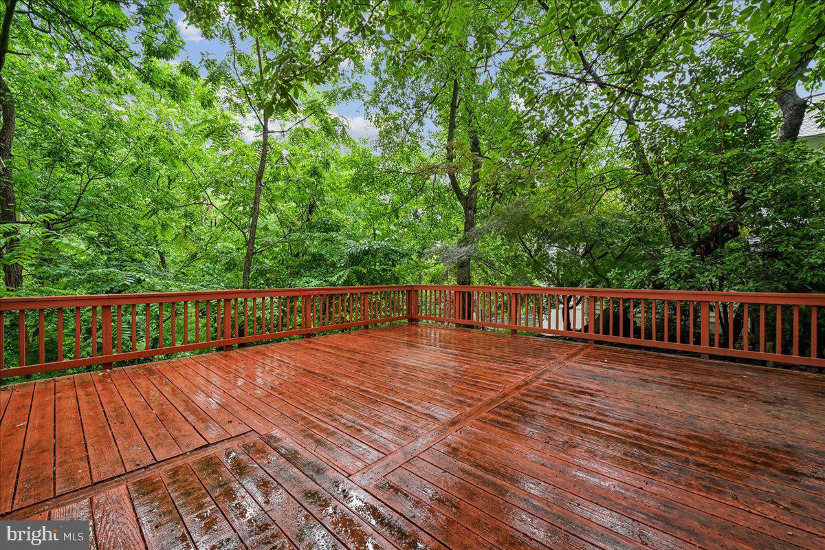3201 Circle Hill Road Alexandria, VA 22305 - Photo 3 of 37 large deck with view of Monticello Park