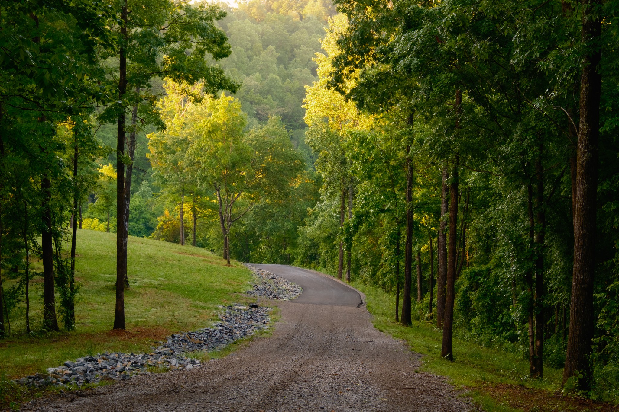 7556 Caney Fork Road Fairview, TN 37062 - Photo 11 of 47 a view of a yard