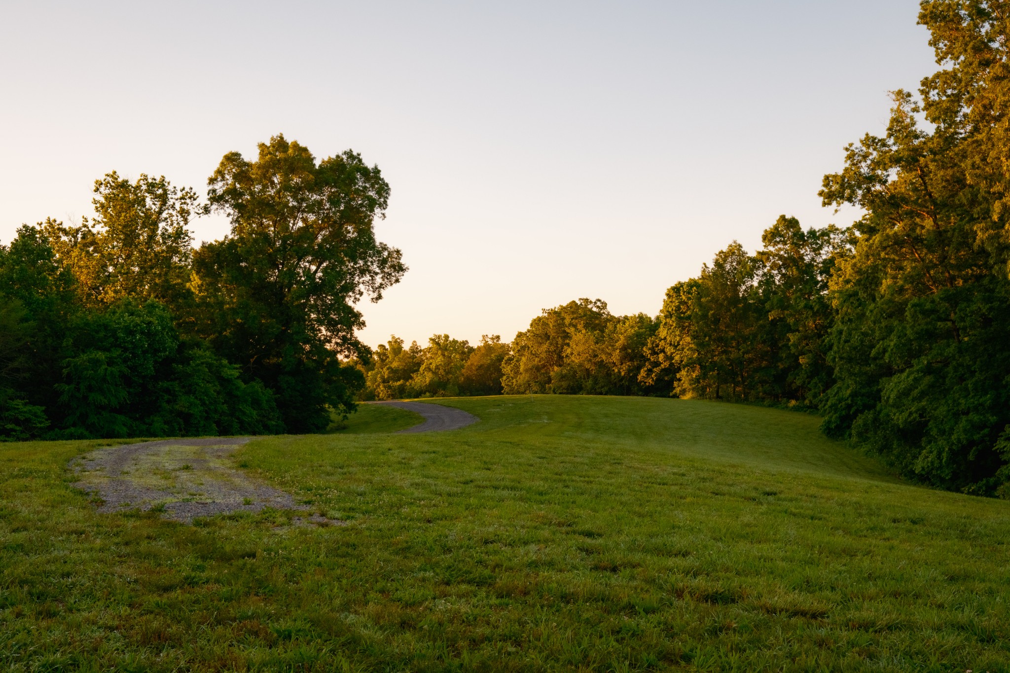 7556 Caney Fork Road Fairview, TN 37062 - Photo 12 of 47 a view of grassy field with trees