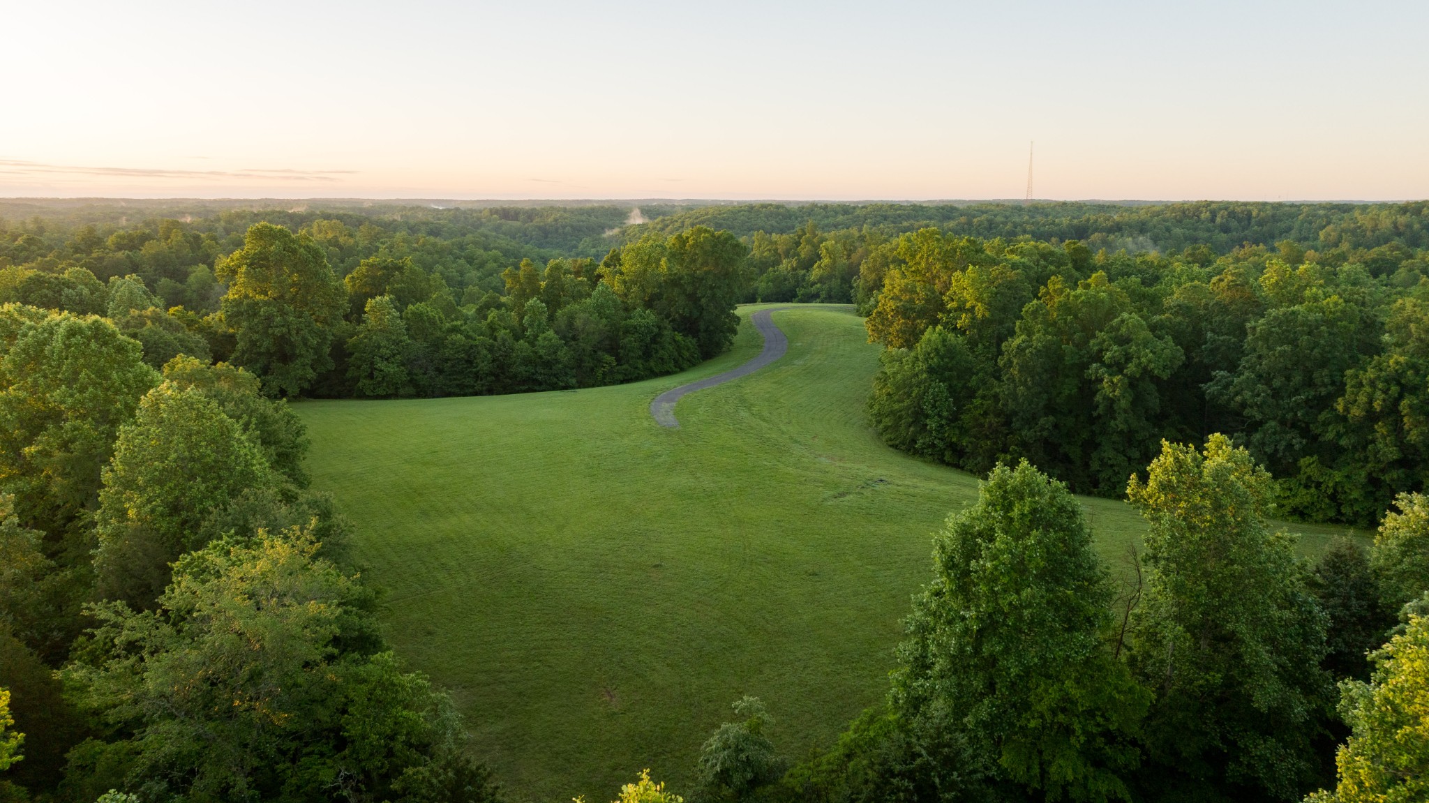 7556 Caney Fork Road Fairview, TN 37062 - Photo 13 of 47 a view of a green field with lots of trees