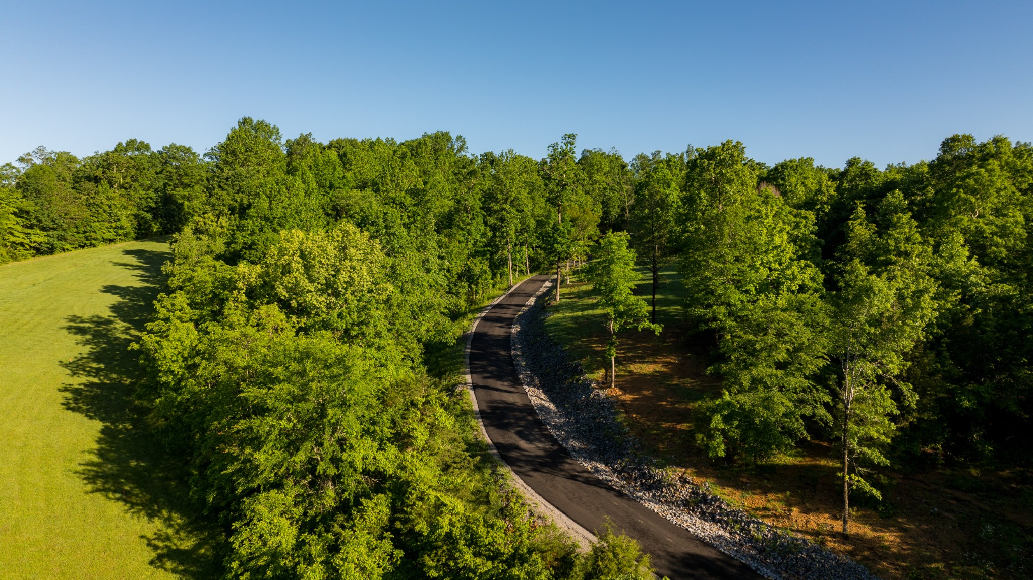7556 Caney Fork Road Fairview, TN 37062 - Photo 14 of 47 a backyard of a house with lots of green space