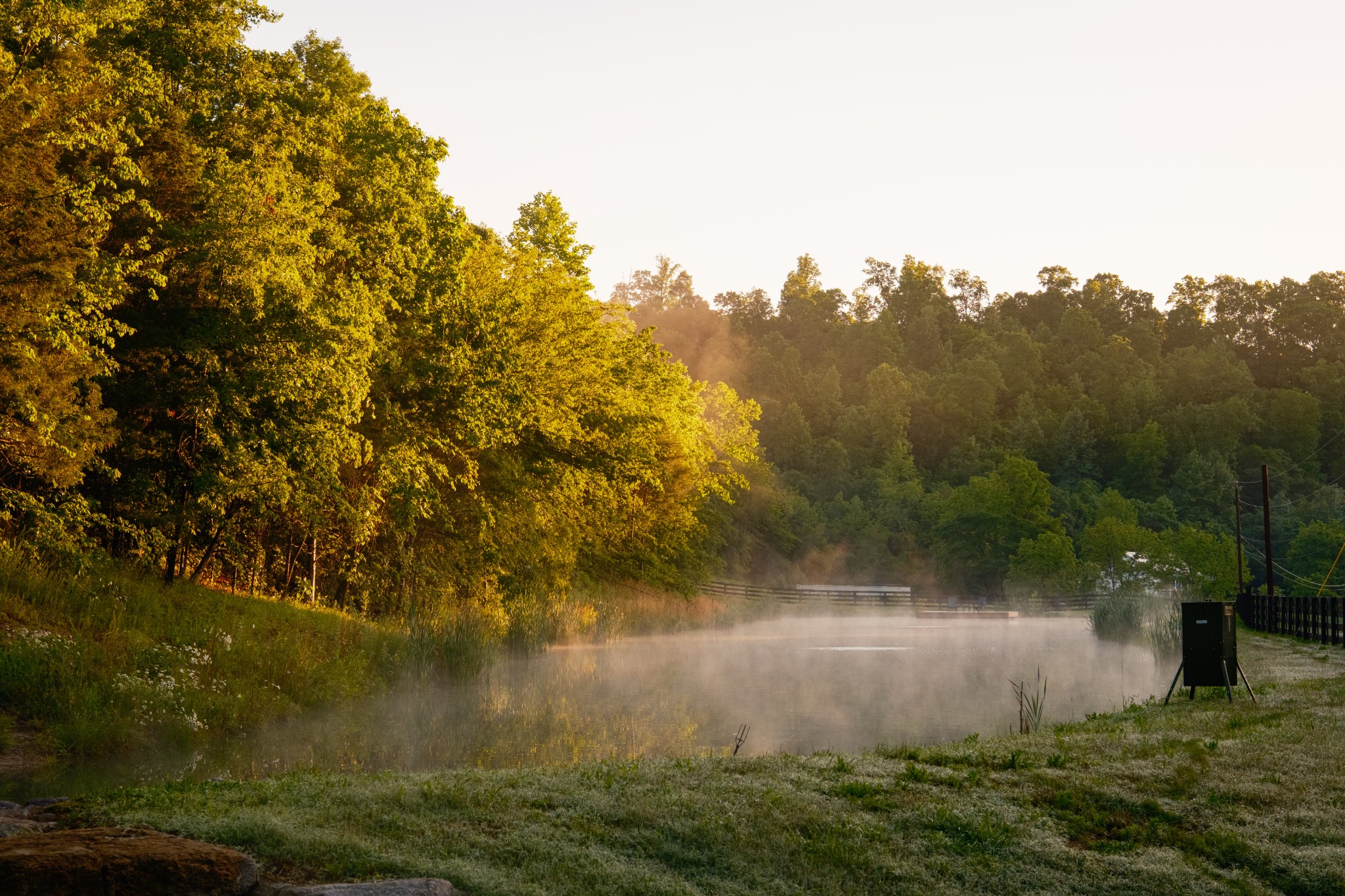 7556 Caney Fork Road Fairview, TN 37062 - Photo 17 of 47