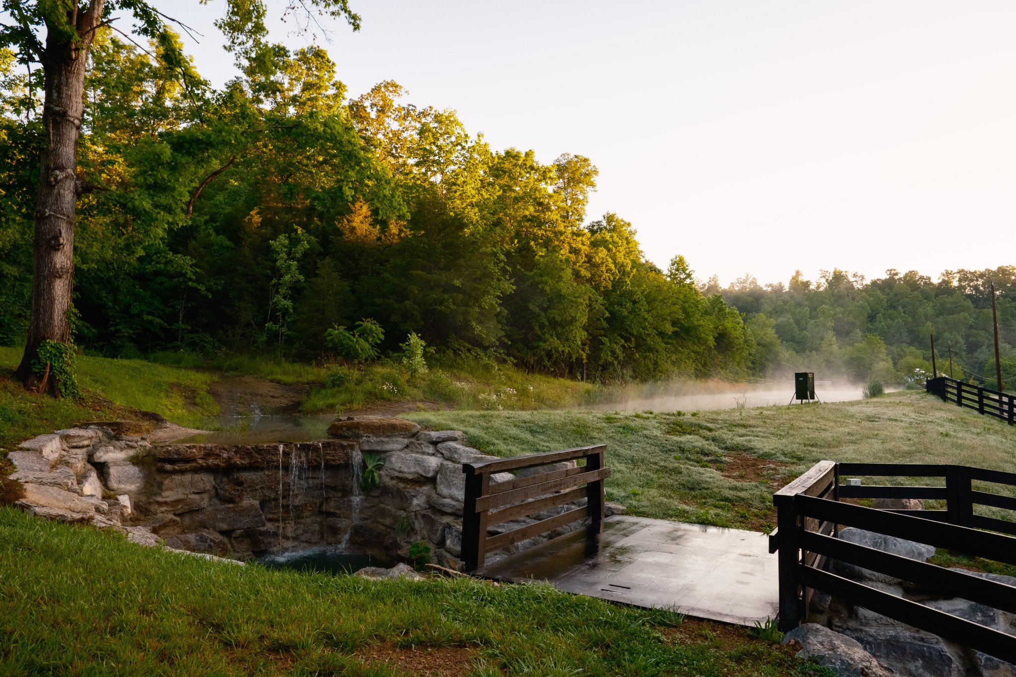 7556 Caney Fork Road Fairview, TN 37062 - Photo 28 of 47 a view of a garden with an outdoor space