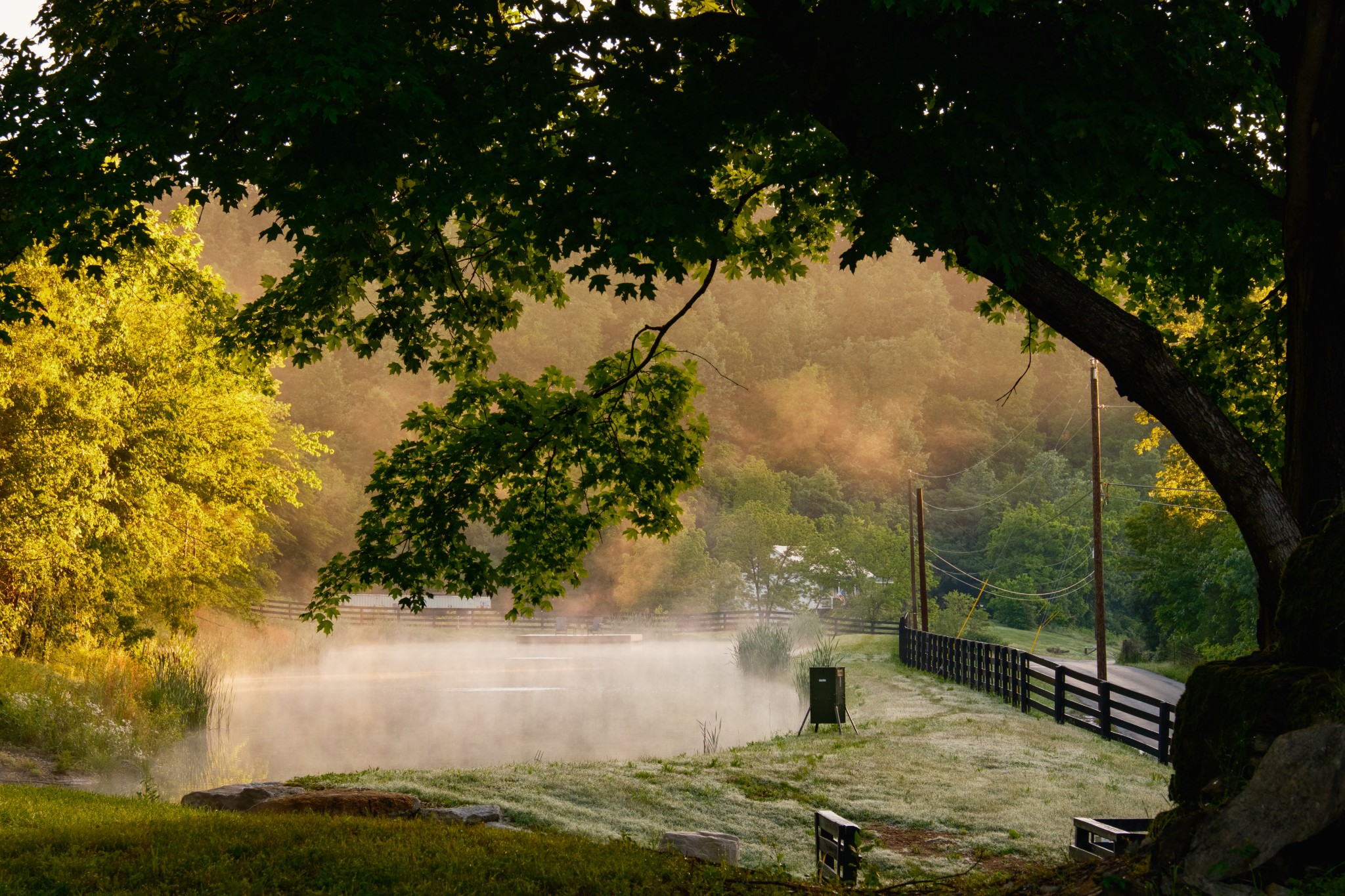 7556 Caney Fork Road Fairview, TN 37062 - Photo 31 of 47 a view of a yard with large trees
